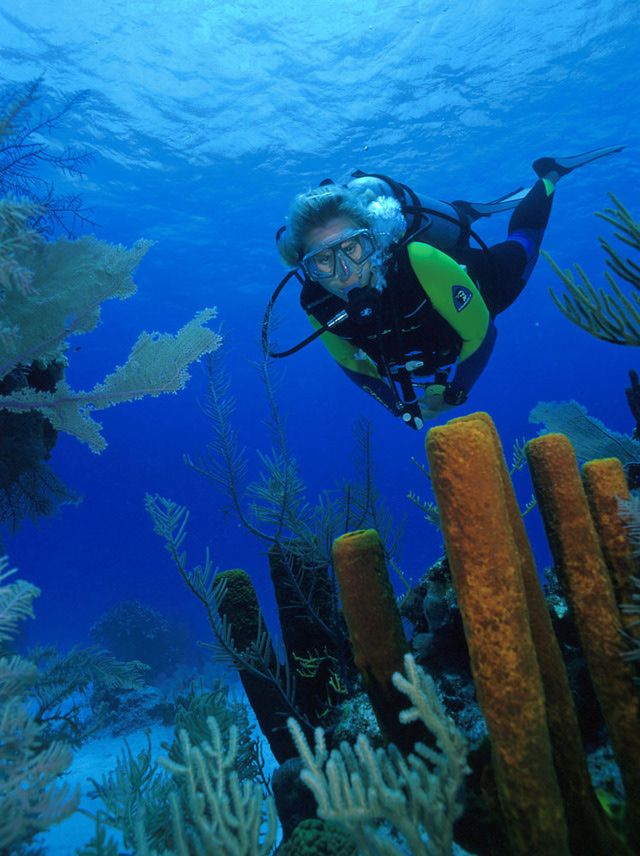 Plunge into the Best Caribbean Diving Turks and Caicos