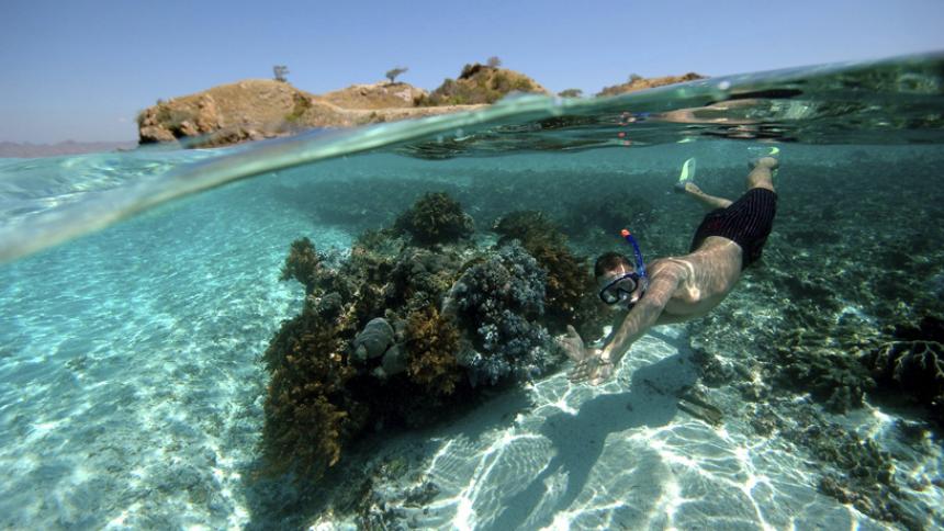 snorkeling