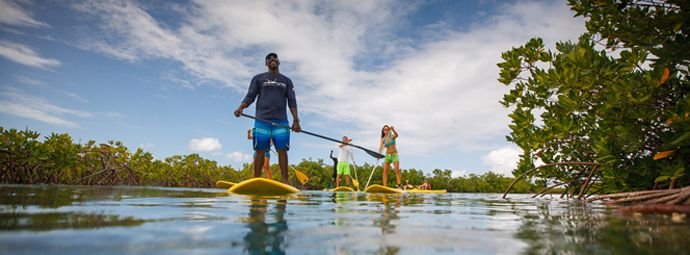 Standup Paddle Board Turks Caicos