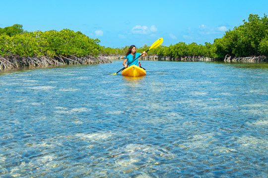 paddling