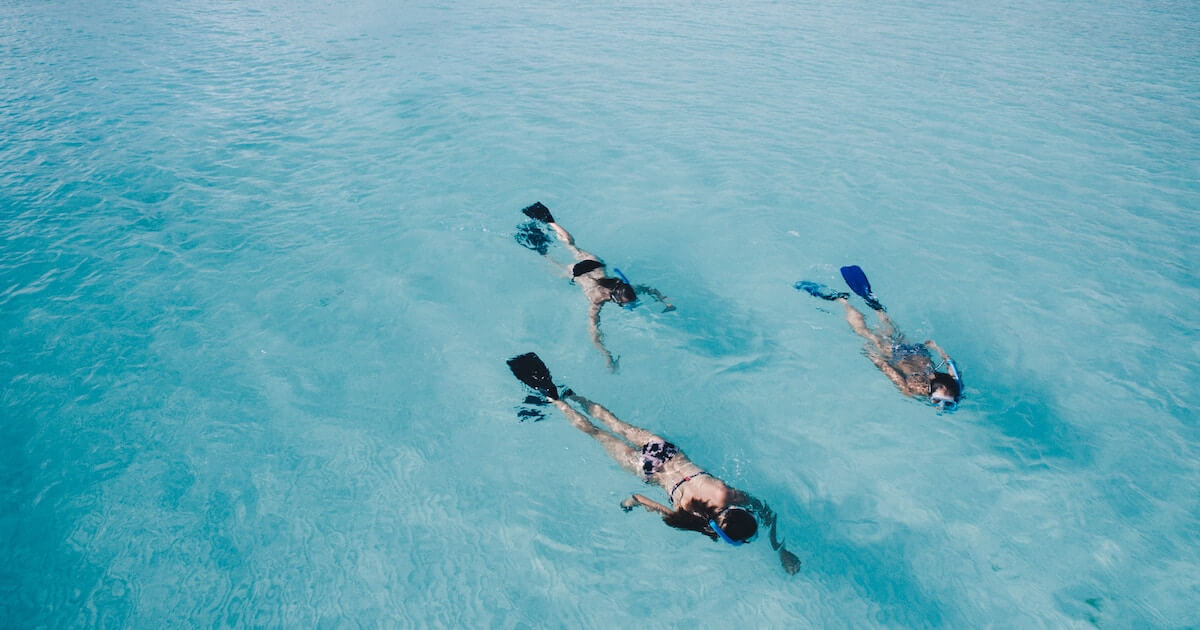 Snorkeling while visiting turks and caicos